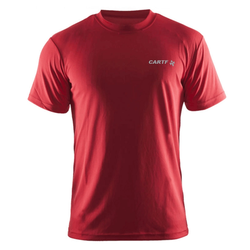 Wholesale-Plus-Size-Custom-Logo-Graphic-Printing-Blank-Plain-Dry-Fit-T-Shirt